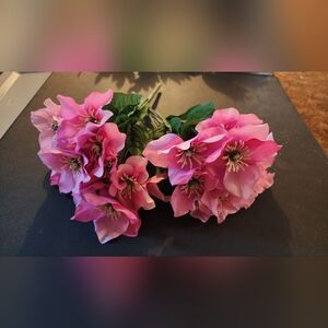 Two pink hellebore flowers fake